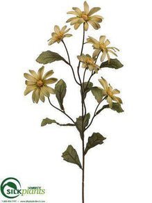 Shasta Daisy Spray - Avocado Green - Pack of 12
