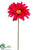 Gerbera Daisy Spray - Beauty - Pack of 12