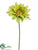 Gerbera Daisy Spray - Green - Pack of 12