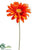 Gerbera Daisy Spray - Orange - Pack of 12