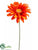 Gerbera Daisy Spray - Orange - Pack of 12