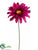 Gerbera Daisy Spray - Violet - Pack of 12