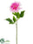 Silk Plants Direct Dahlia Spray - Rubrum - Pack of 12