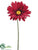 Jumbo Gerbera Daisy Spray - Red - Pack of 6