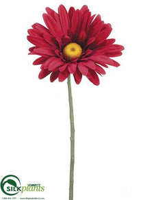 Jumbo Gerbera Daisy Spray - Red - Pack of 6