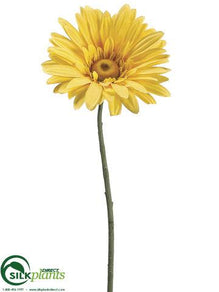 Jumbo Gerbera Daisy Spray - Yellow - Pack of 6