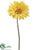 Jumbo Gerbera Daisy Spray - Yellow - Pack of 6