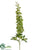 Delphinium Spray - Green - Pack of 12