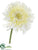 Gerbera Daisy Spray - Cream - Pack of 12