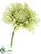 Gerbera Daisy Spray - Green - Pack of 12
