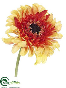 Gerbera Daisy Spray - Orange Flame - Pack of 12