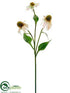 Silk Plants Direct Echinacea Spray - Peach Green - Pack of 12
