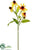 Echinacea Spray - Yellow Terra Cotta - Pack of 12