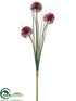 Silk Plants Direct Allium Branch - Fuchsia - Pack of 12