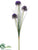 Allium Branch - Purple - Pack of 12