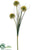 Allium Branch - Yellow - Pack of 12