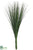 Onion Grass Bundle - Variegated - Pack of 12