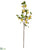 Flowering Tree Pod Spray - Yellow Green - Pack of 12
