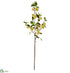 Silk Plants Direct Flowering Tree Pod Spray - Yellow Green - Pack of 12