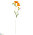 Freesia Spray - Orange - Pack of 12