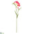 Freesia Spray - Pink - Pack of 12