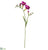 Freesia Spray - Purple - Pack of 12