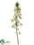 Fritillaria Spray - Cream - Pack of 6