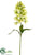 Silk Plants Direct Fritillaria Spray - Green - Pack of 12