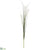 Foxtail Grass Bloom Spray - Cream - Pack of 12
