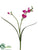 Freesia Spray - Orchid - Pack of 12
