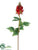 Flame Tree Flower Spray - Red Green - Pack of 12