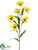 Frangipani Spray - Yellow - Pack of 12