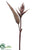 Heliconia Spray - Brown - Pack of 8
