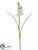 Freesia Spray - Cream - Pack of 12