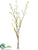 Forsythia Twig Bundle - Yellow - Pack of 12