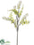 Fern Thistle Spray - White - Pack of 12