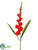 Gladiolus Spray - Coral - Pack of 12
