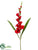 Gladiolus Spray - Red - Pack of 12