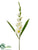 Gladiolus Spray - White - Pack of 12