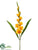 Gladiolus Spray - Yellow - Pack of 12