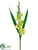Gladiolus Spray - Green Yellow - Pack of 12