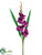 Gladiolus Spray - Purple - Pack of 12