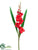 Gladiolus Spray - Red - Pack of 12