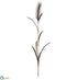 Silk Plants Direct Pampas Grass Spray - Brown - Pack of 12