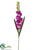 Gladiolus Spray - Orchid - Pack of 12