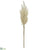 Pampas Grass Spray - Ivory - Pack of 12