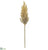 Pampas Grass Spray - Tan - Pack of 12