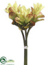 Silk Plants Direct Ginger Flower Bundle - Green Burgundy - Pack of 12
