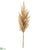 Pampas Grass Spray - Beige - Pack of 12