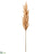 Pampas Grass Spray - Blush - Pack of 6